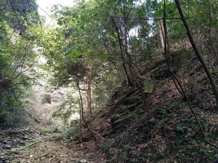 聚力发展种业  激活乡村振兴动能